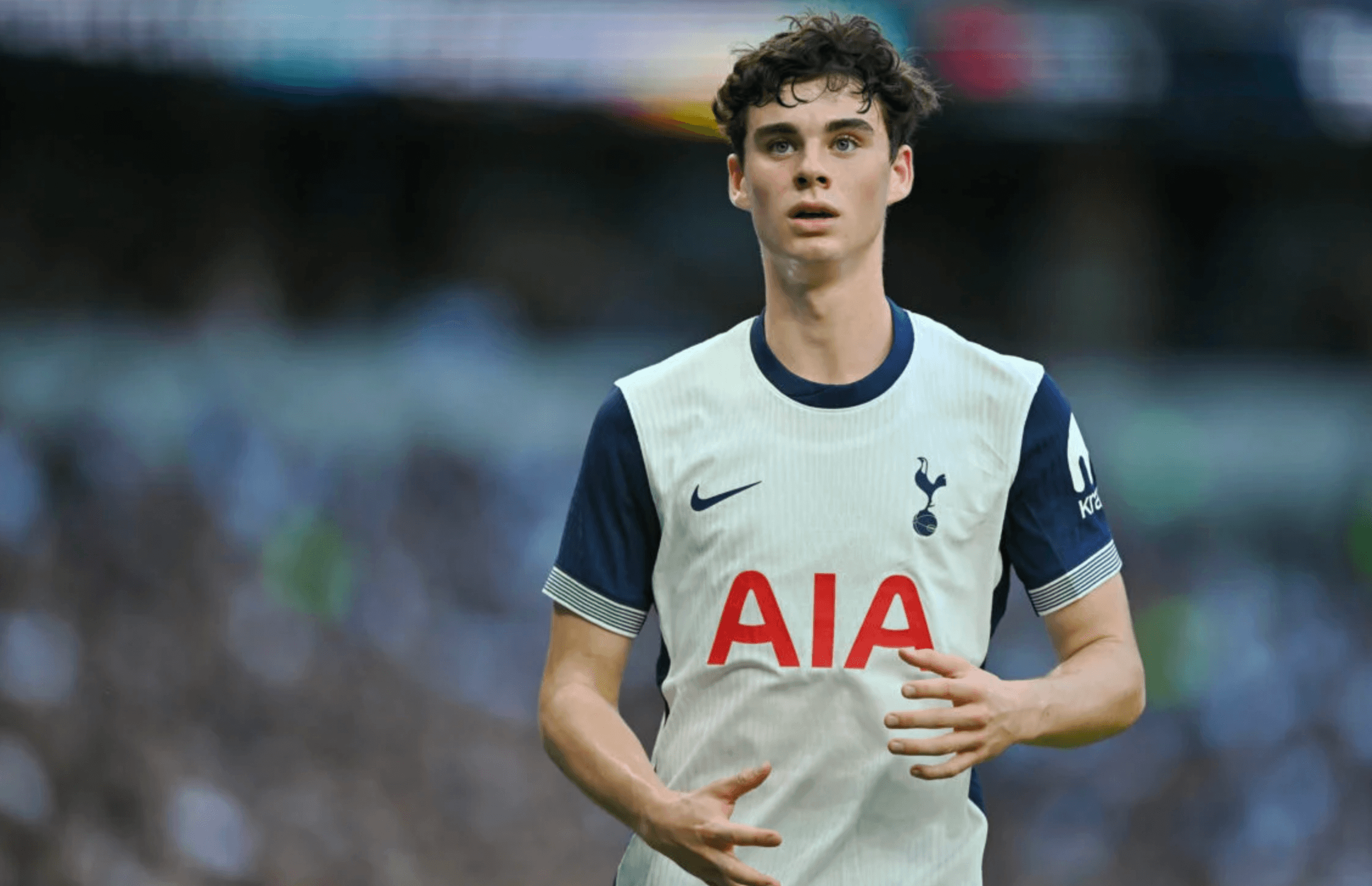 Tottenham's Archie Gray