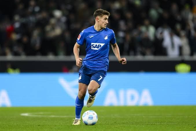 Tom Bischof, Hoffenheim